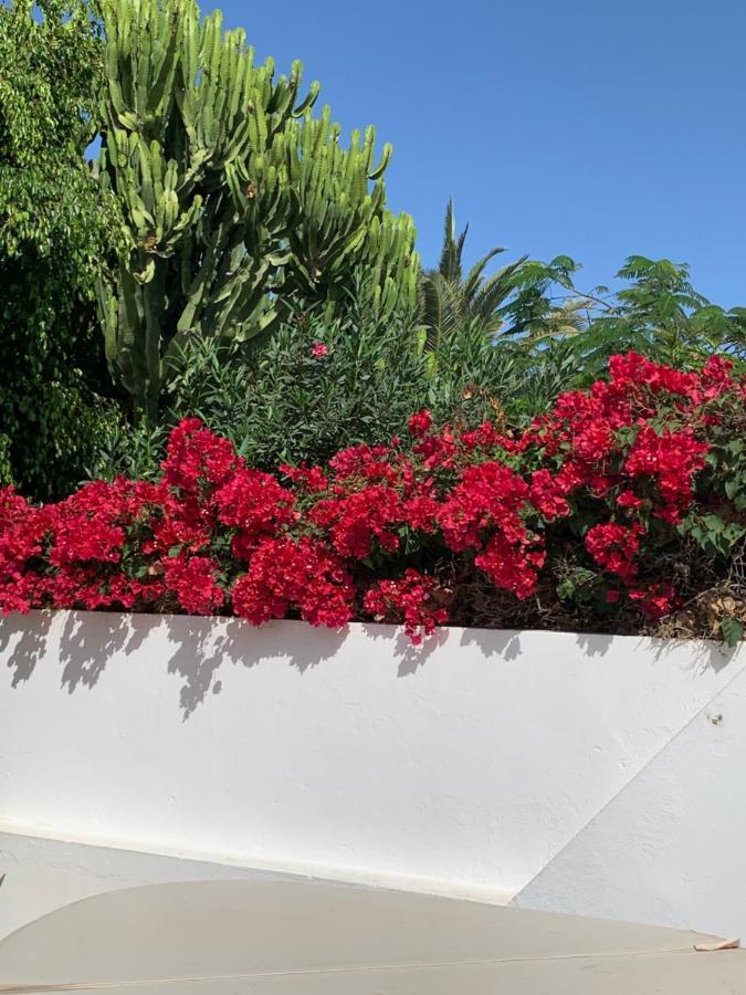 Lovely Villa Nico Playa Blanca, Hot Tub, Communal Pool Εξωτερικό φωτογραφία